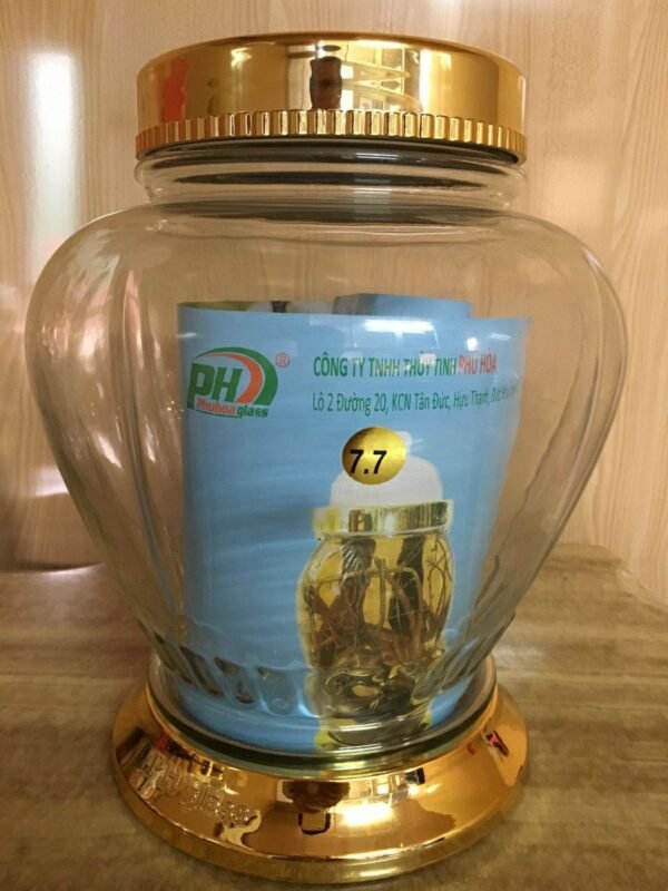 Bình ngâm sâm phú hòa 7.7 lít